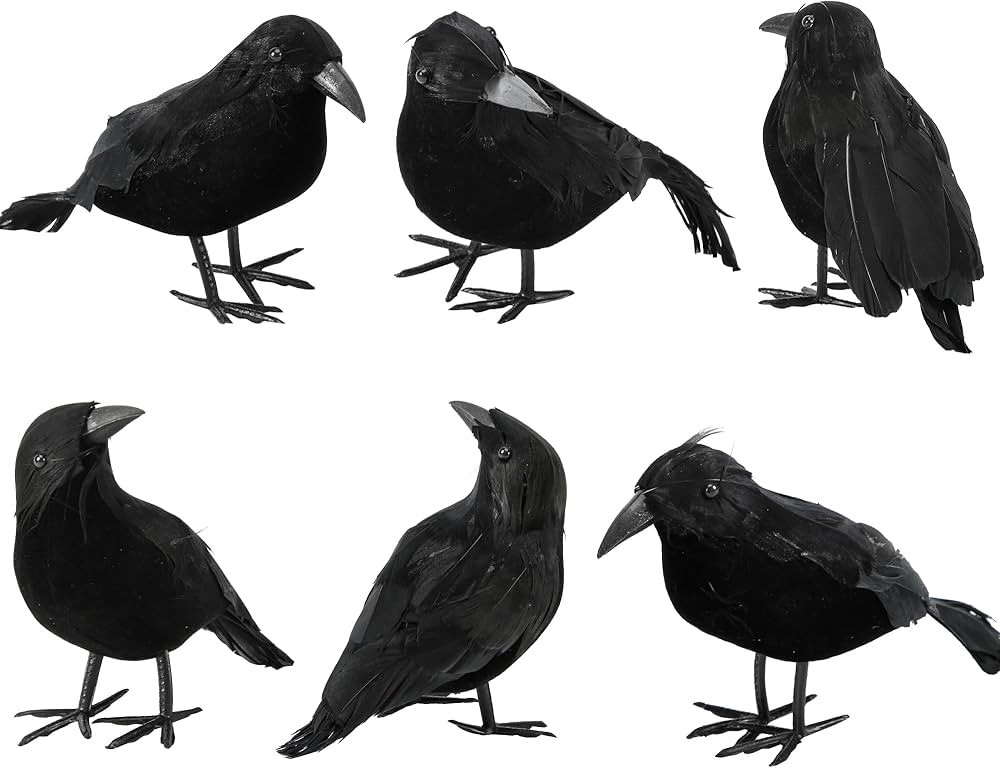 6 Pack Halloween Crow Decorations - Realistic Handmade Crow Black Feathered Crow, Halloween Crows... | Amazon (US)