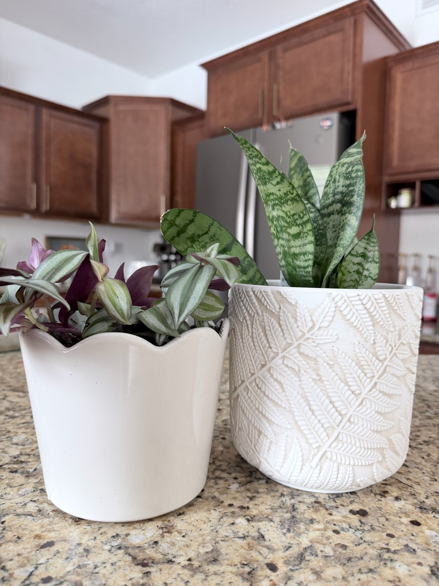 Snagged two new pots from Walmart! High quality and affordable! 

#LTKHome