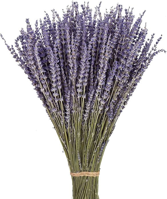 June Fox Dried Lavender Flowers 270-300 Stems 100% Natural Dried Lavender Bunches for Home Decora... | Amazon (US)