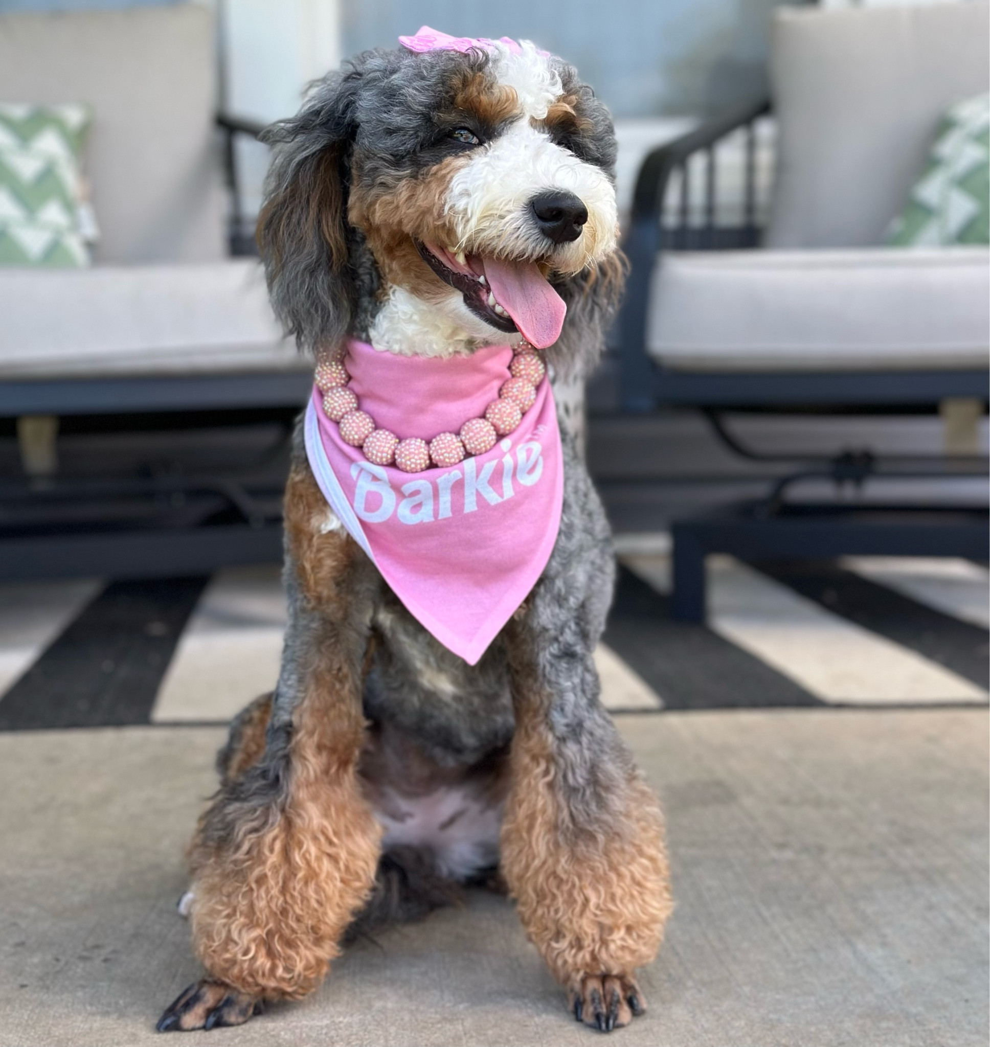 Barkie girl in a Barkie world🎀

#LTKparties #LTKFind #LTKfamily