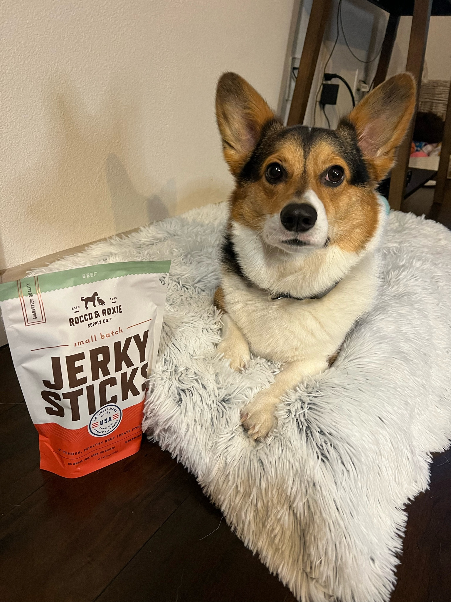 Nothing better than some jerky sticks and comfy bed🥰

#LTKGiftGuide #LTKfindsunder50 #LTKhome