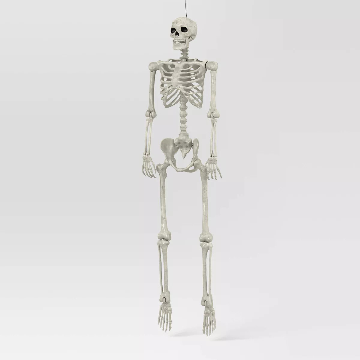 60" Poseable Bone Skeleton Halloween Decorative Prop Off-White - Hyde and EEK! Boutique™ | Target
