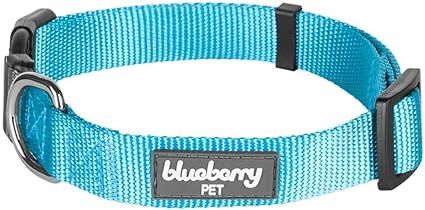 Blueberry Pet Essentials 22 Colors Classic Solid Color Collection - Regular Collars, Martingale C... | Amazon (US)