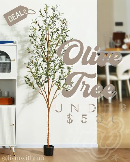 This beautiful faux olive tree with realistic leaves & natural trunk is on Black Friday Deal at Walmart!

Available in 4, 5, 6 & 7ft and all under $50!!!

#LTKGiftGuide #LTKCyberWeek #LTKfindsunder100