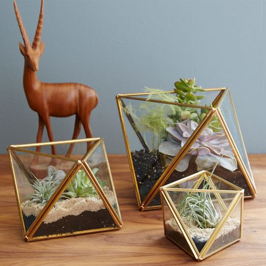 Faceted Terrariums | West Elm (US)
