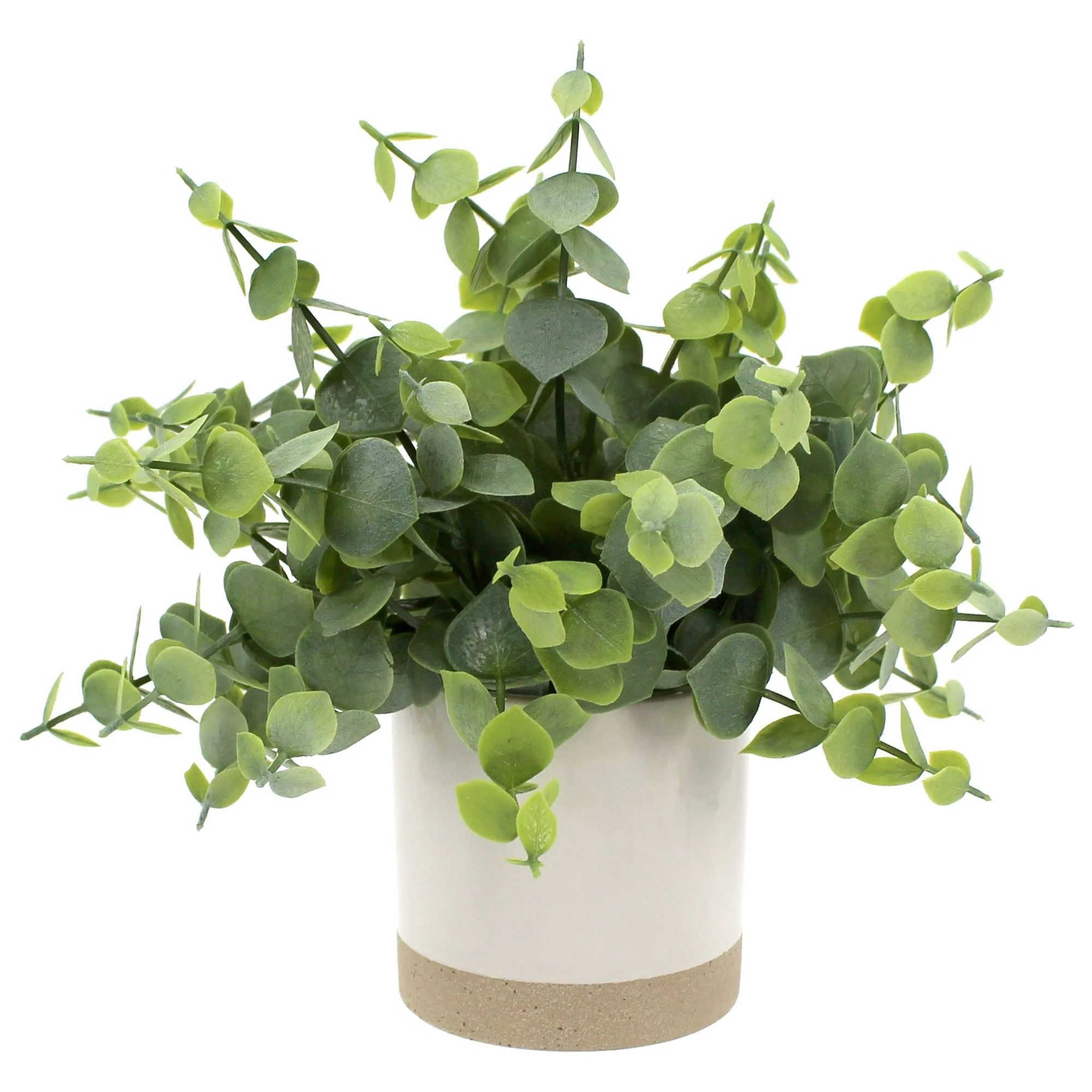 Mainstays 8" Artificial Green Eucalyptus Plant in Two-Tone Glazed Ceramic Planter | Walmart (US)