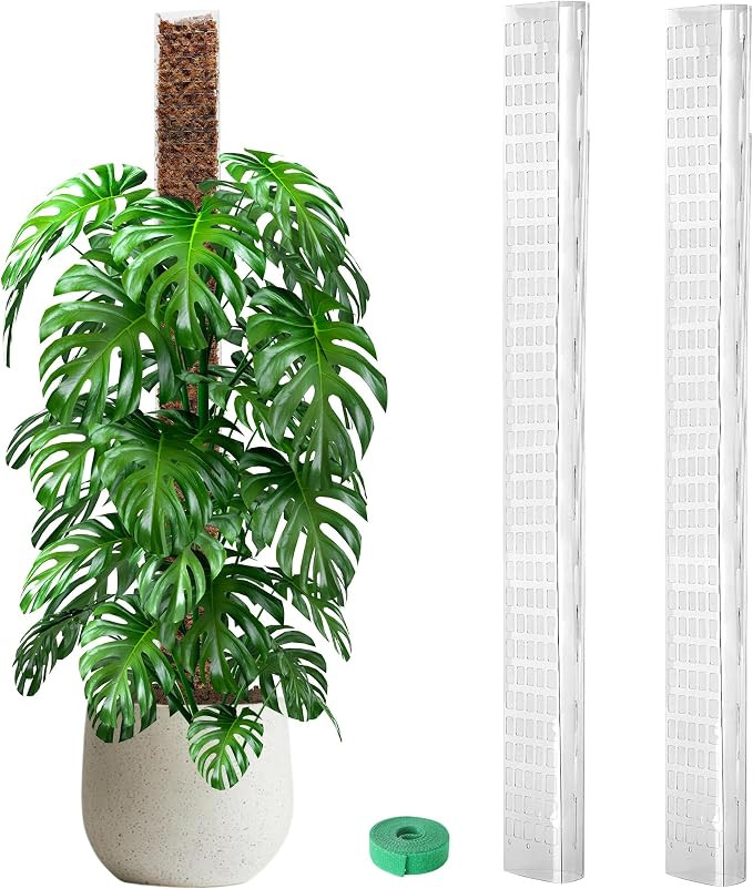 EOX 2 Pcs 48 Inch Plastic Moss Pole for Monstera, Large D Shaped Poles for Climbing Plants Work w... | Amazon (US)