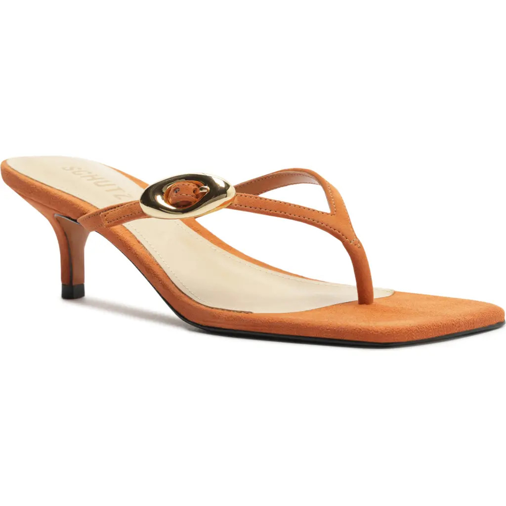 Schutz Miriam Slide Sandal in Earth Clay at Nordstrom, Size 6.5 | Nordstrom