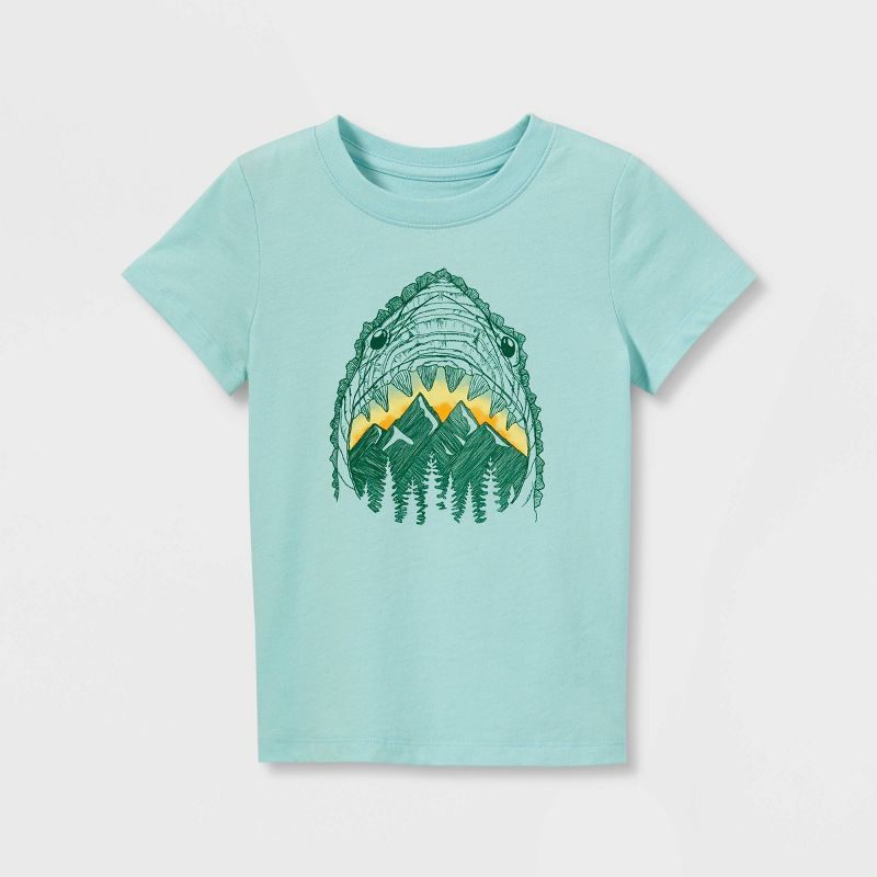 Toddler Boys' Shark Mountain Short Sleeve Graphic T-Shirt - Cat & Jack™ Blue | Target