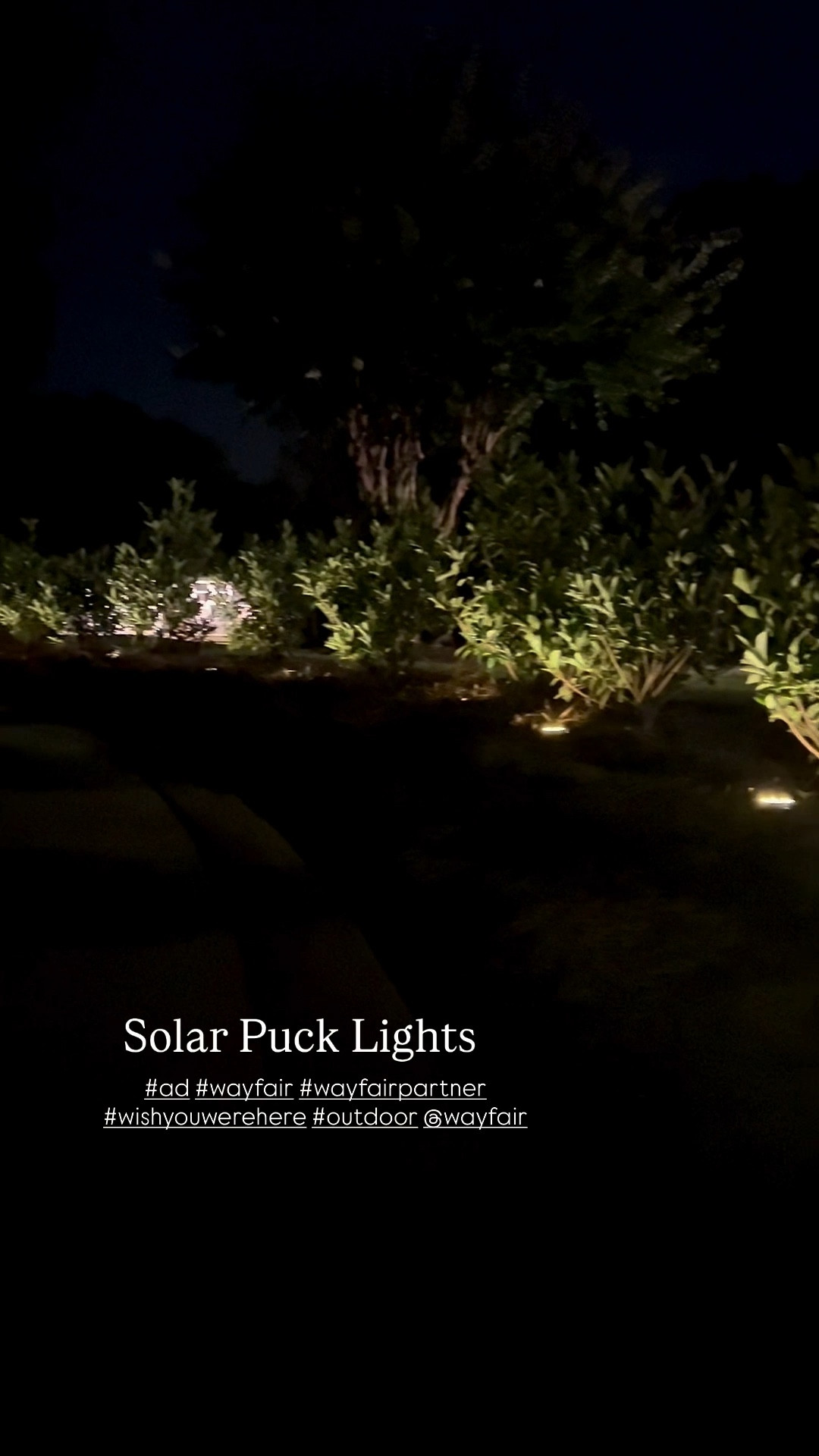 #ad ☀️ Patio season is here and I’m getting mine ready with all things @Wayfair  #wayfair #wayfairpartner #wishyouwerehere #outdoor
Patio decor | outdoor rug | Loloi rug | outdoor furniture | outdoor side table | solar lights | solar lanterns | faux outdoor trees | cedar tree | camellia tree

#LTKSeasonal #LTKHome #LTKSaleAlert