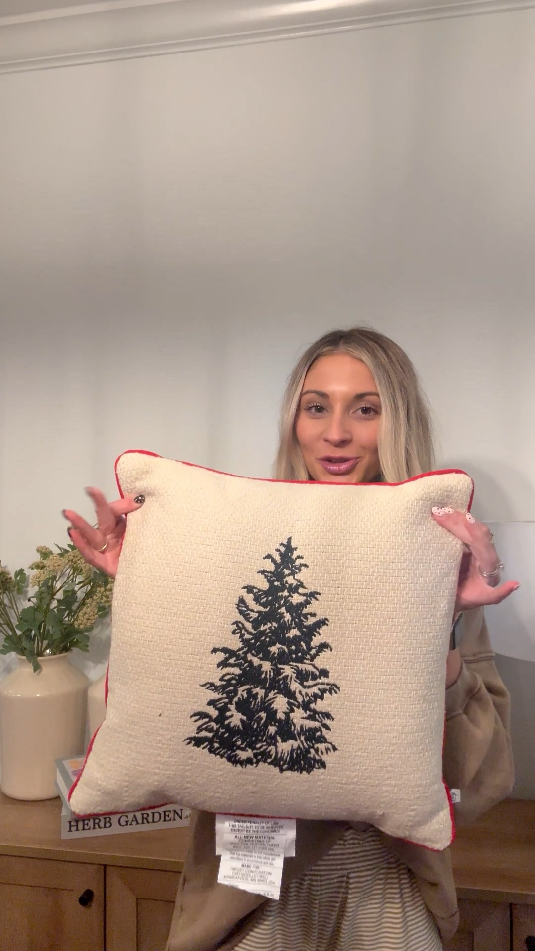 Rapid fire Target Christmas decor haul 🎄✨

#LTKU #LTKHoliday #LTKSeasonal