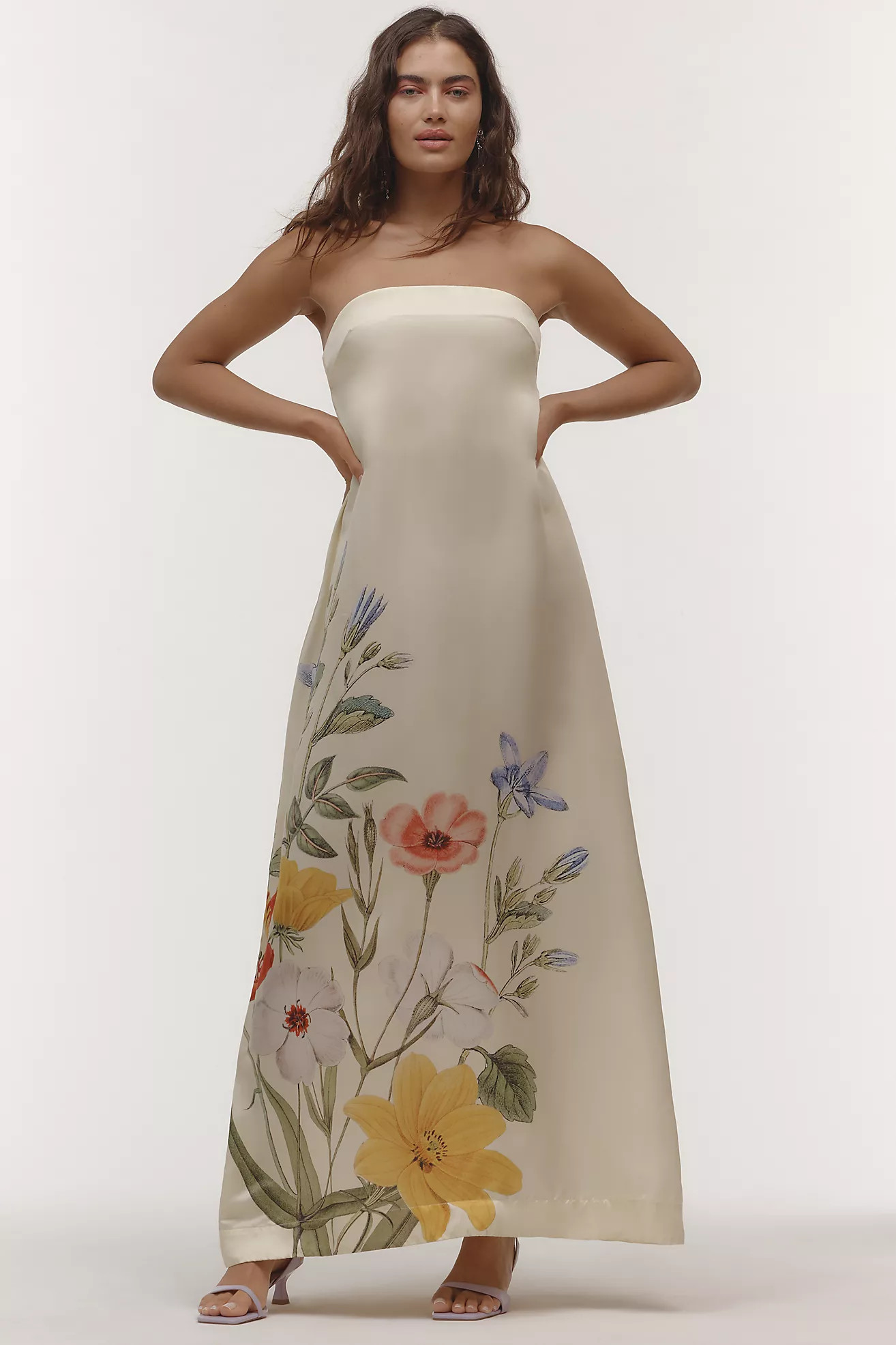 Aston Studio Lucie Strapless Dress | Anthropologie (US)