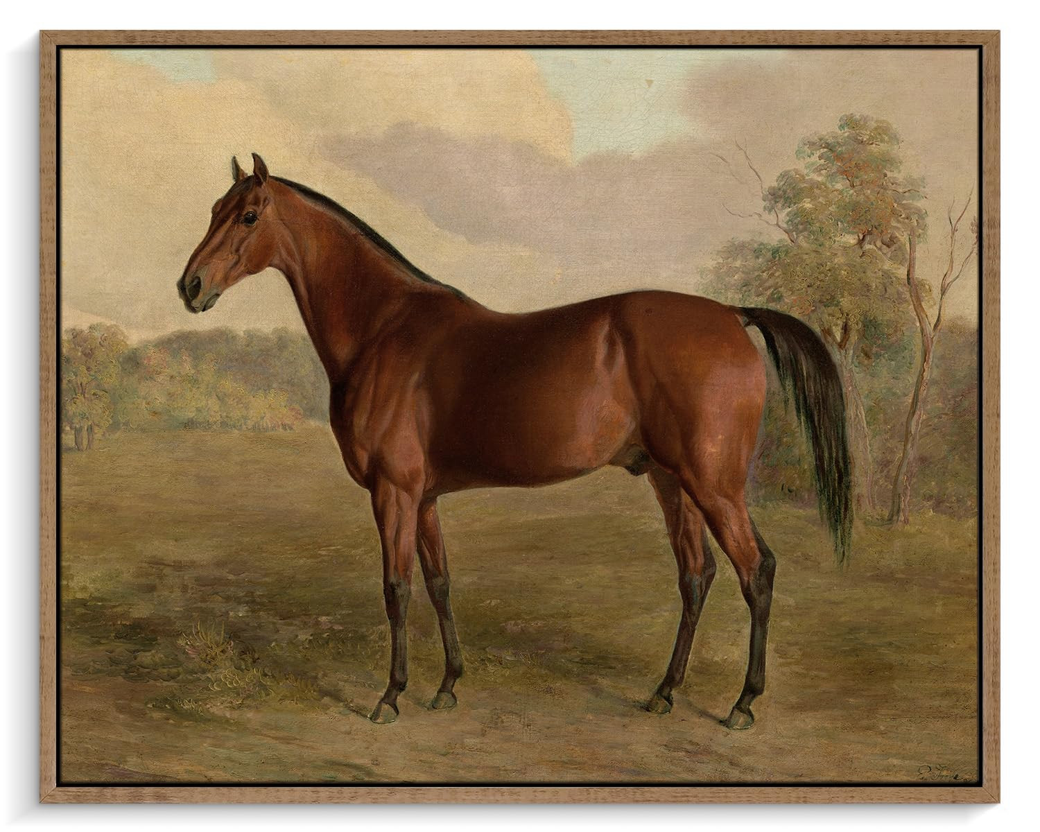 Pinetree Art Framed Canvas Wall Art Room Decor, Vintage Horse Paintings Prints, Rustic French Far... | Amazon (US)