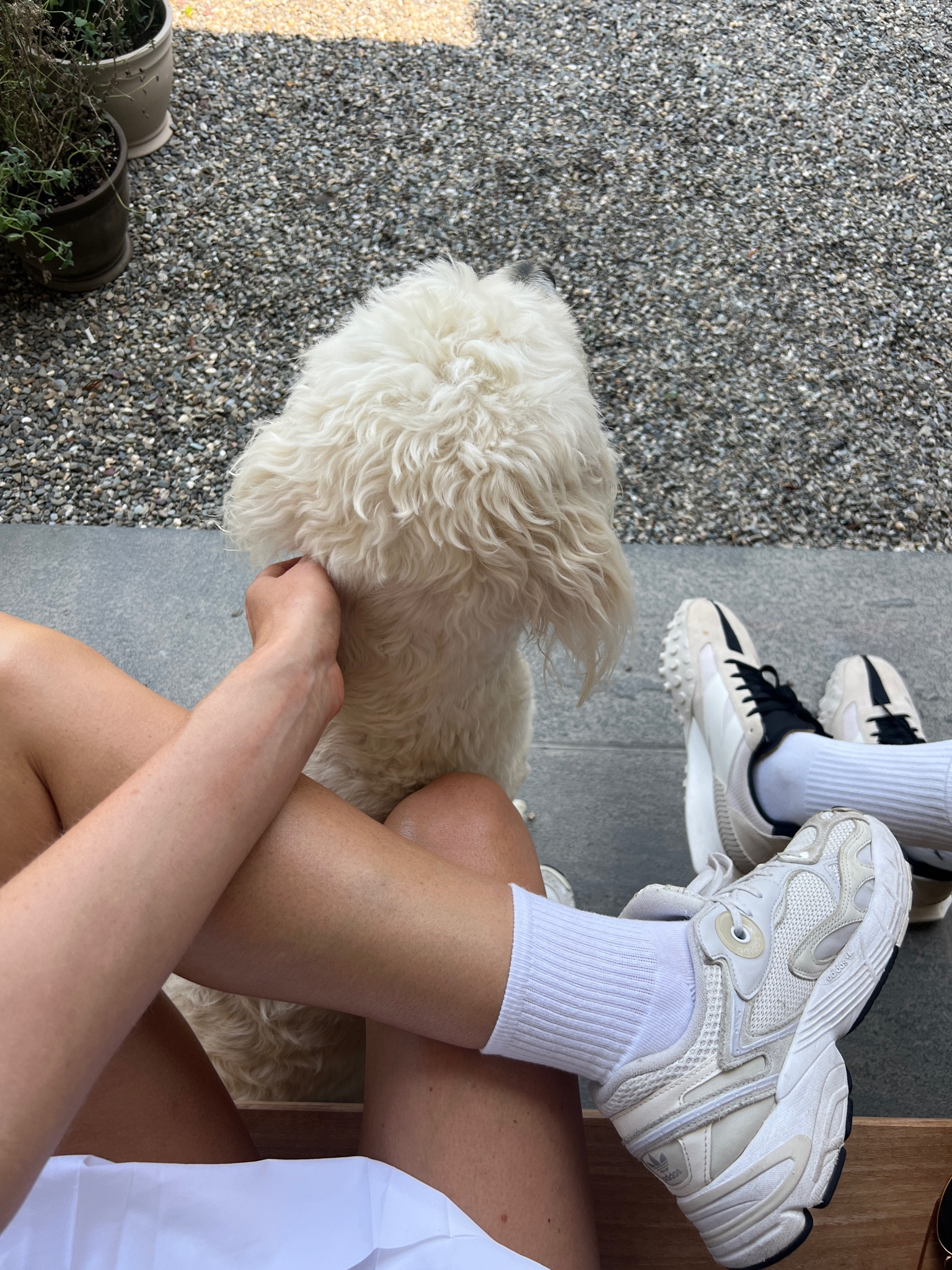 The best Amazon socks and adidas sneakers ever 