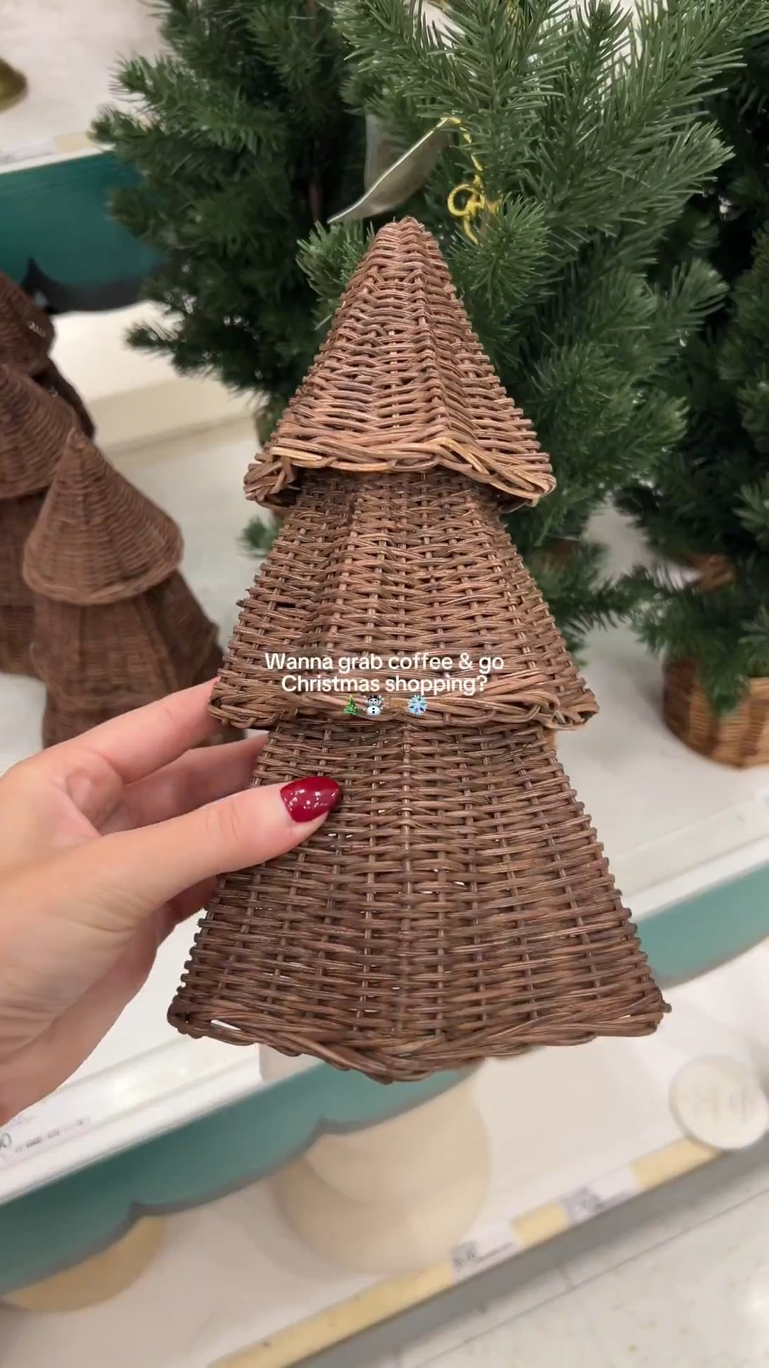 Target Christmas decor 2025🌲❄️

#LTKHome #LTKHoliday #LTKSeasonal