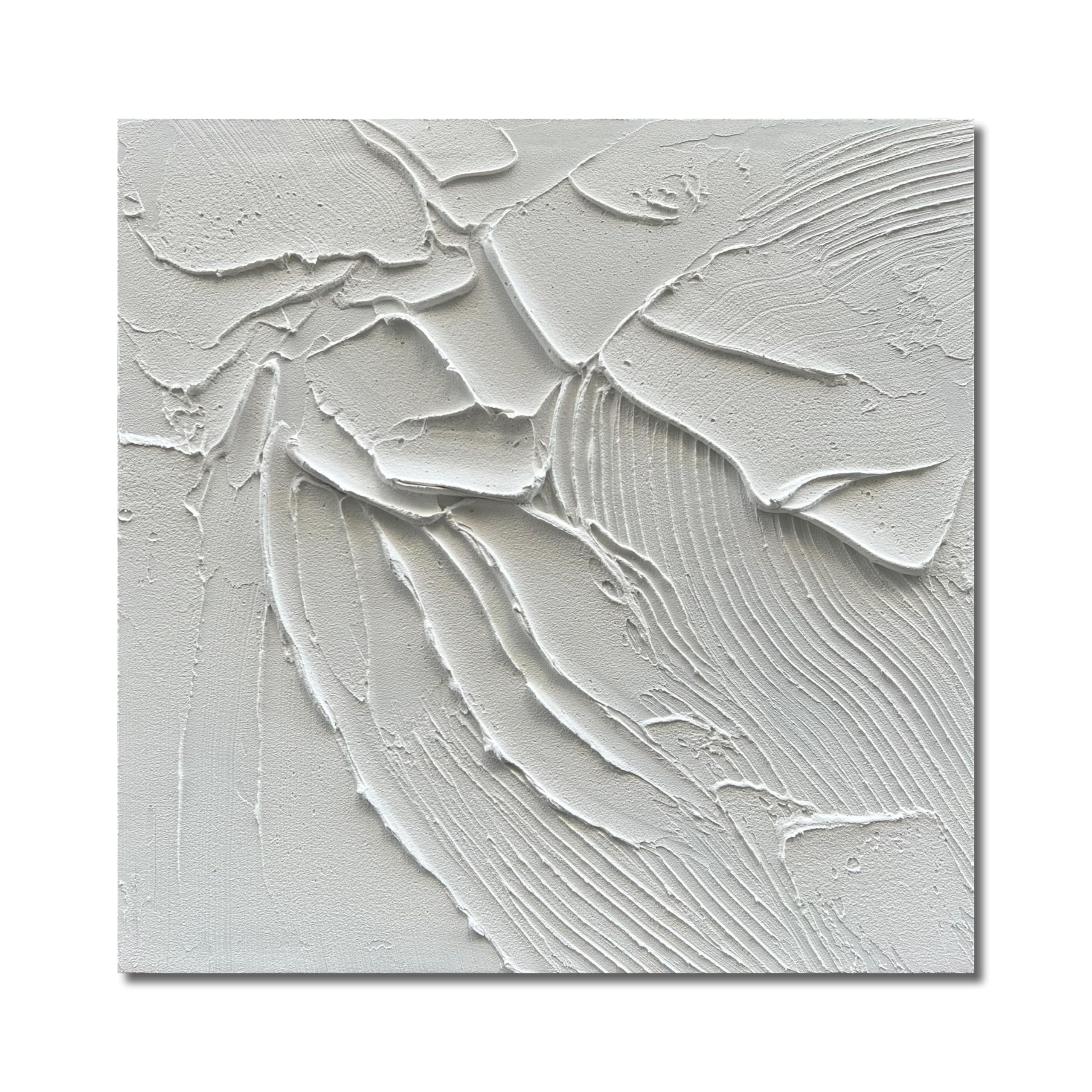 NANKAI Art Hand-Painted White Canvas Wall Art 24x24 inch Abstract Thick Texture Oil Painting Mode... | Amazon (US)