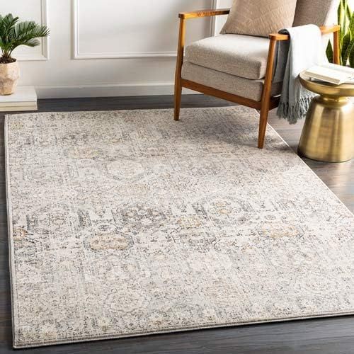 Parkerfield Updated Traditional Farmhouse 7'10" x 10'2" Area Rug | Amazon (US)
