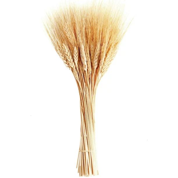 100 Pieces Natural Dried Wheat Stalks Golden Wheat Sheaves Stems Fall Harvest Wheat Bouquet Bunch... | Walmart (US)