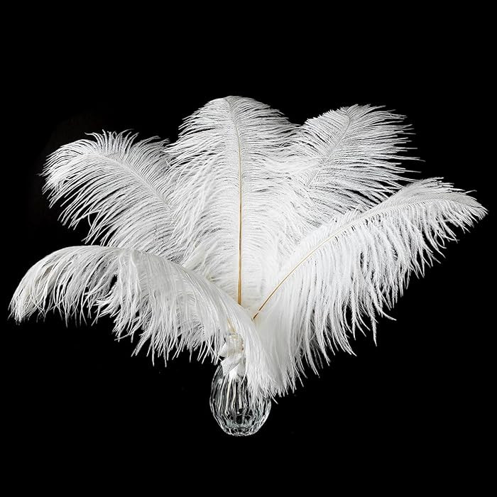 Ballinger White Large Ostrich Feathers - 12Pcs 14-16inch Large Feathers for Vase,Wedding Party Ce... | Amazon (US)