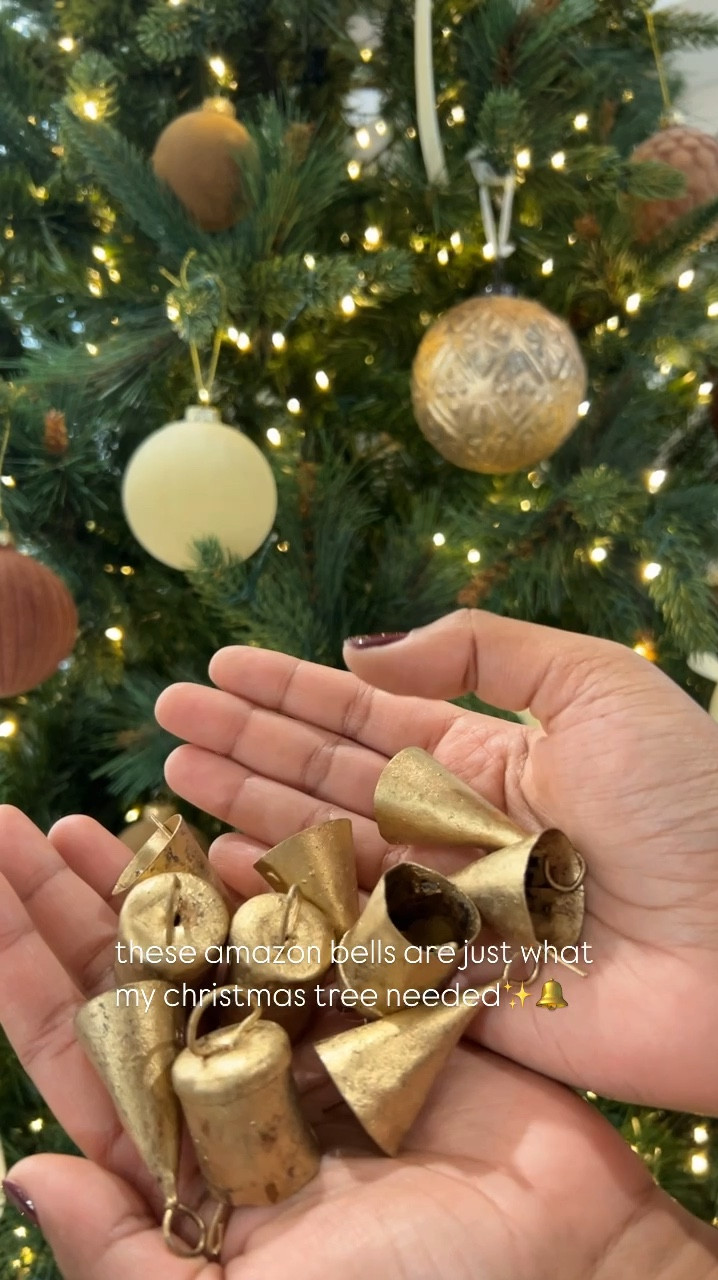 I love the look of these Amazon bells on my Christmas tree!

neutral christmas | traditional christmas | Amazon Canada | Amazon Christmas Decor | 

#LTKstyletip #LTKcanada #LTKcasa