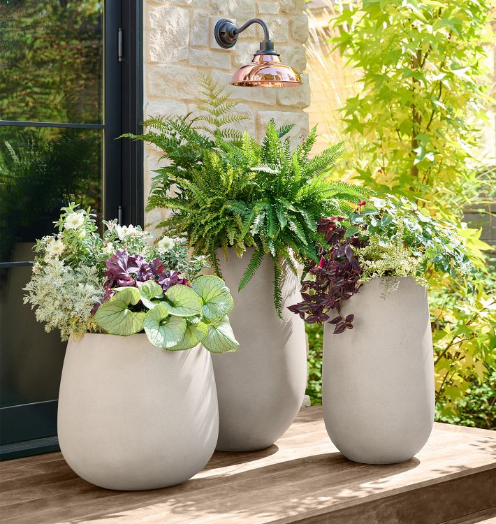 Napa Ficonstone Planters | Rejuvenation