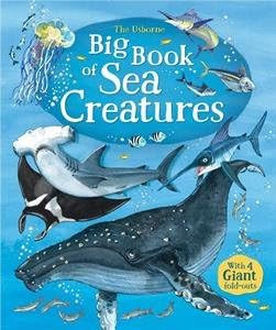 The Usborne Big Book of Sea Creatures | Amazon (US)