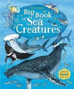 The Usborne Big Book of Sea Creatures | Amazon (US)