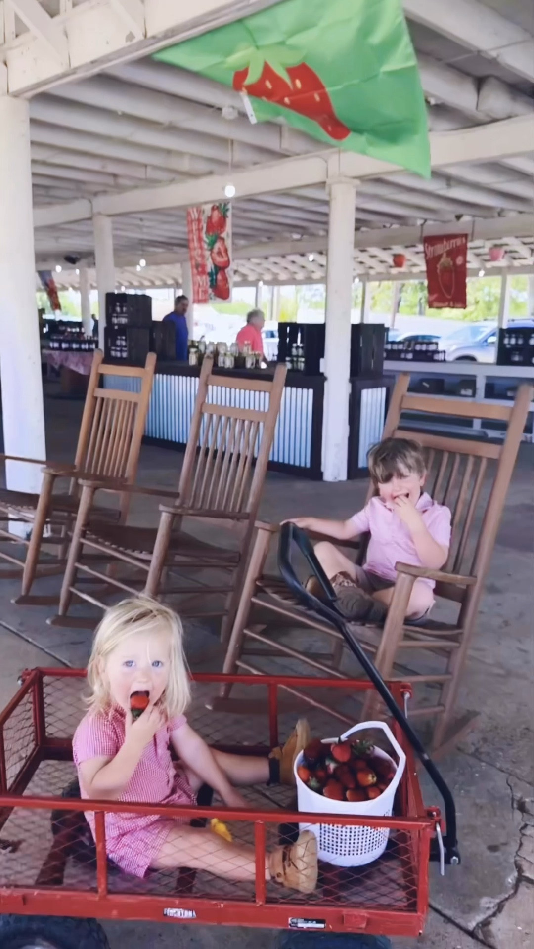 this beautiful sunny day called for our very first trip to @strawberryhillusa for the B E S T  S T R A W B E R R I E S of all!!! 🍓🧺