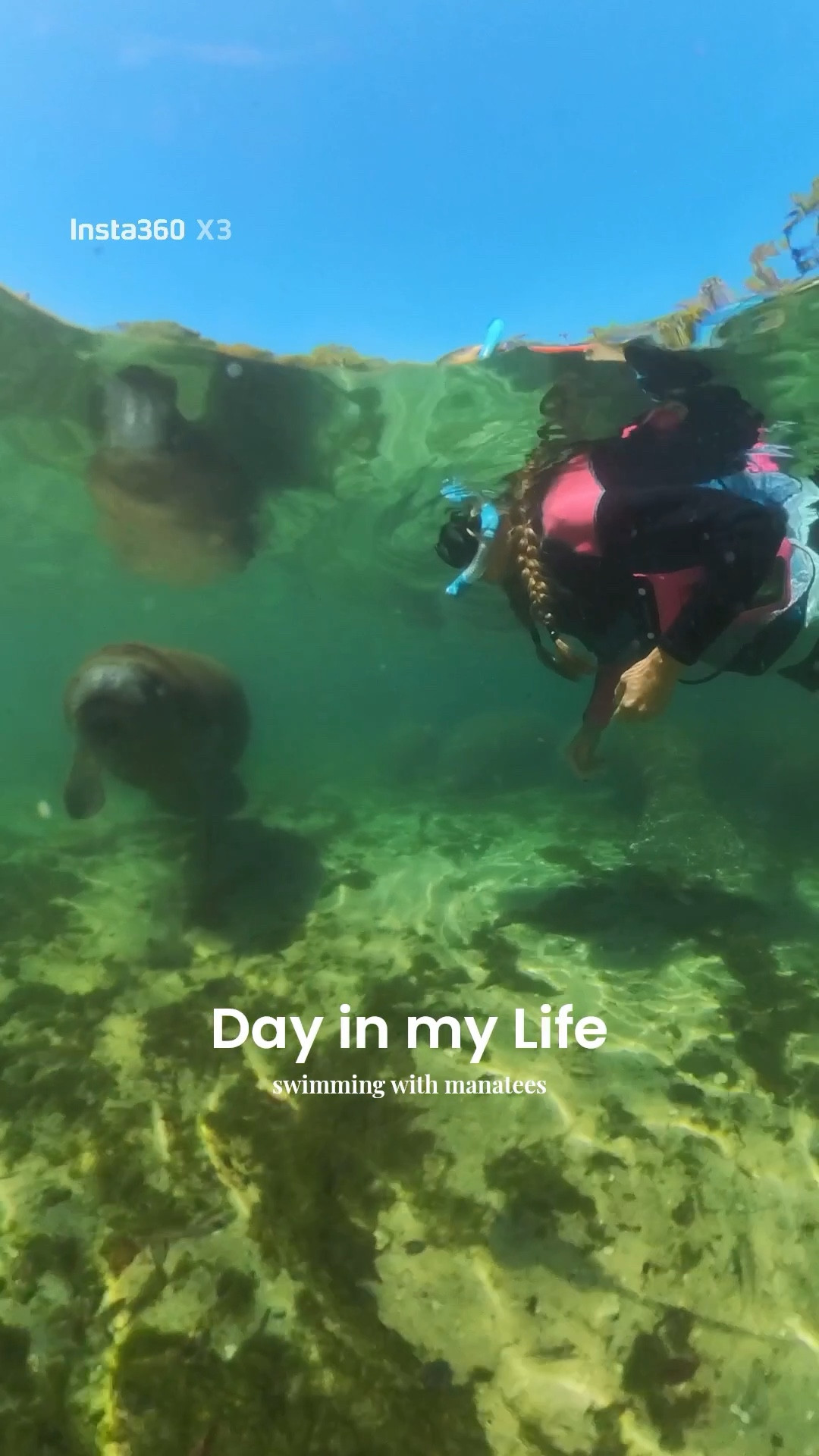 Manatee season is about to begin in Florida! The past two days I enjoyed time in Crystal River swimming with them and let me tell you it’s the coolest experience of your life! Linking all the essentials because the springs are about 72 degrees so you want to make sure, especially in the winter, that you’re prepared to be warm! 


Florida Springs | Snorkeling | Florida Vacation | Travel | Paddle Boarding 

#LTKSwim #LTKSeasonal #LTKTravel