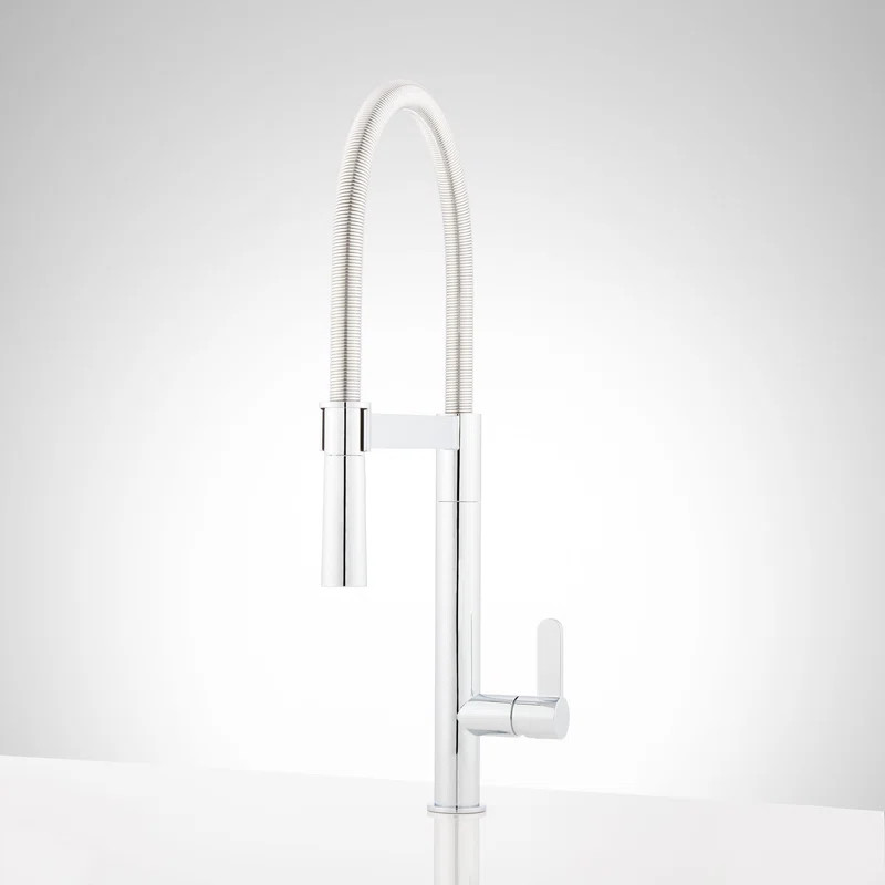 Ocala Pull Down Single Hole Kitchen Faucet | Wayfair North America