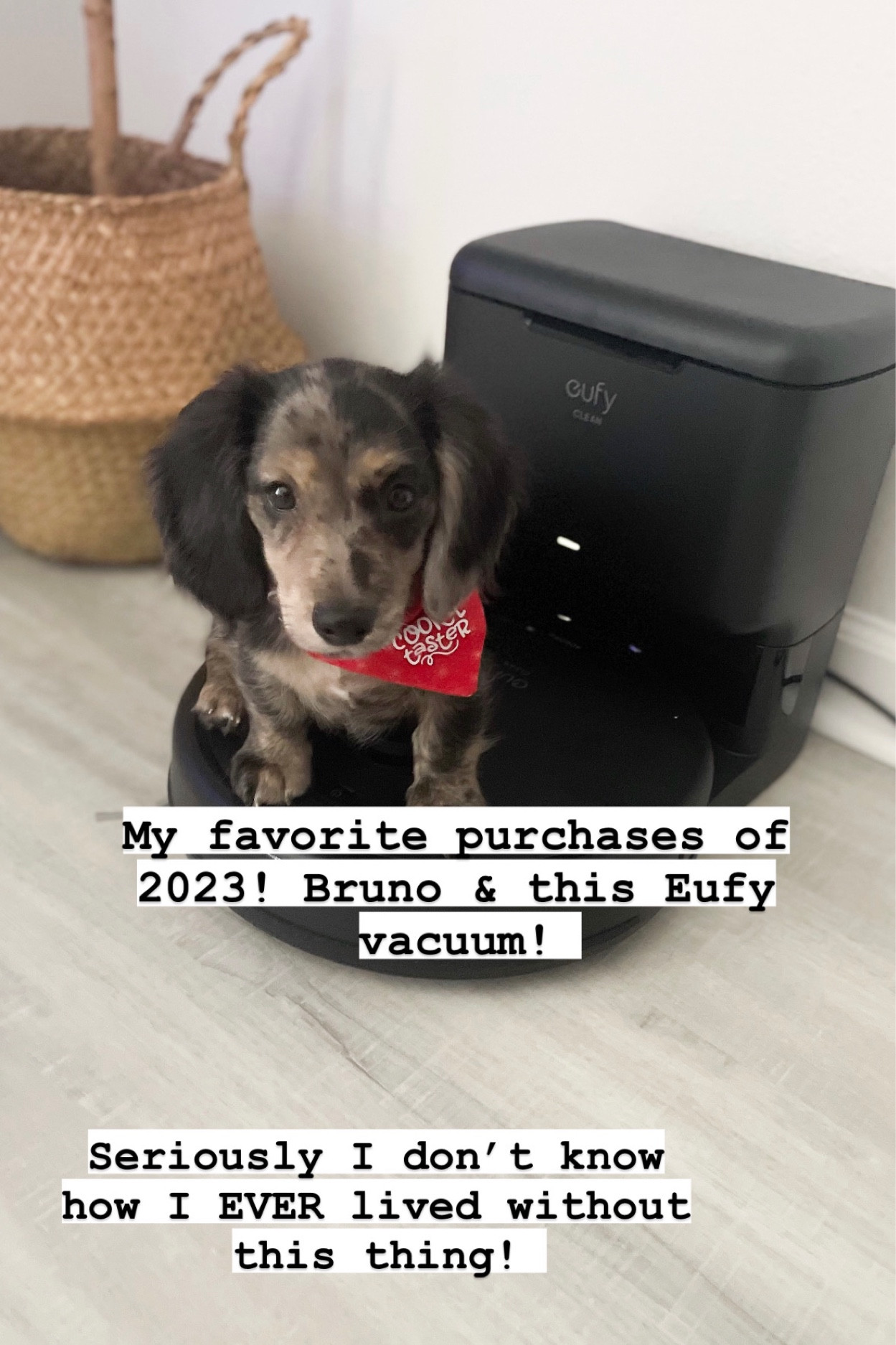 Favorite home purchase of 2023! This Eufy  vacuum is a life saver! I didn’t realize how much I appreciate it until I ran out of dust bags 😅 it’s been a week and I’m over vacuuming myself! So if you are on the fence I would def say snag this! 🖤 

#LTKstyletip #LTKfamily #LTKhome
