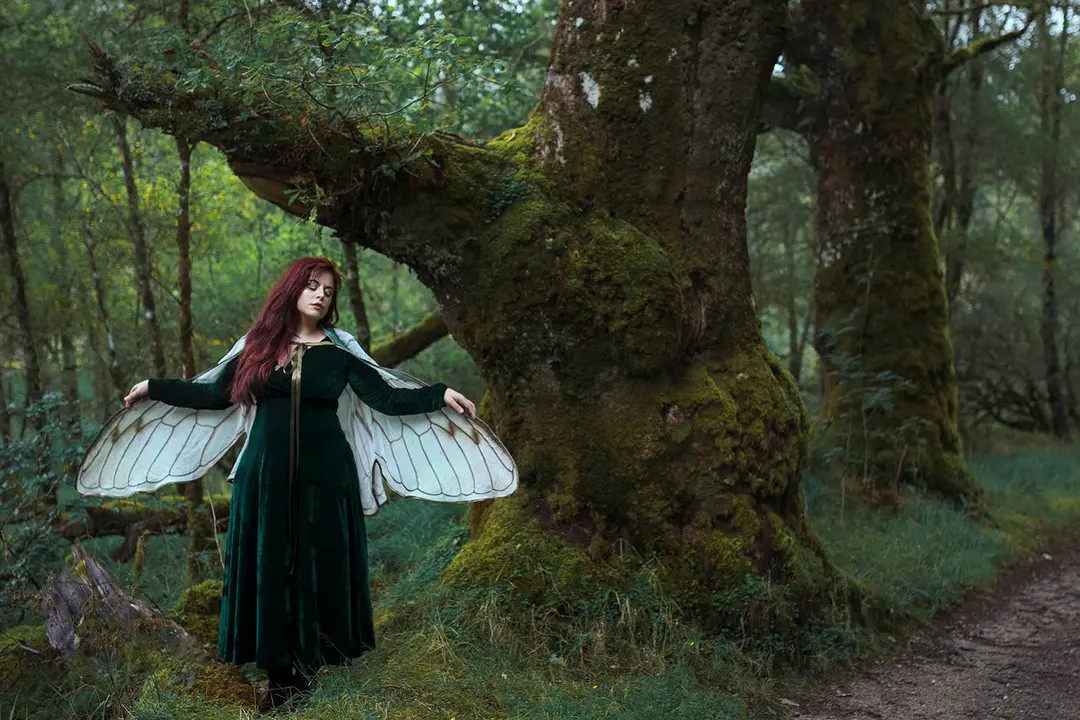 Fairy Wings Cicada Natural White Costume Cape Costume Festival Clothing Gelfling Dark Crystal Cot... | Etsy (US)