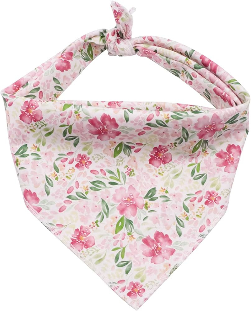 Lionet Paws Dog Bandana for Small Medium Large Dogs, Cat Dog Kerchief Dog Triangle Bibs Scarf for... | Amazon (US)