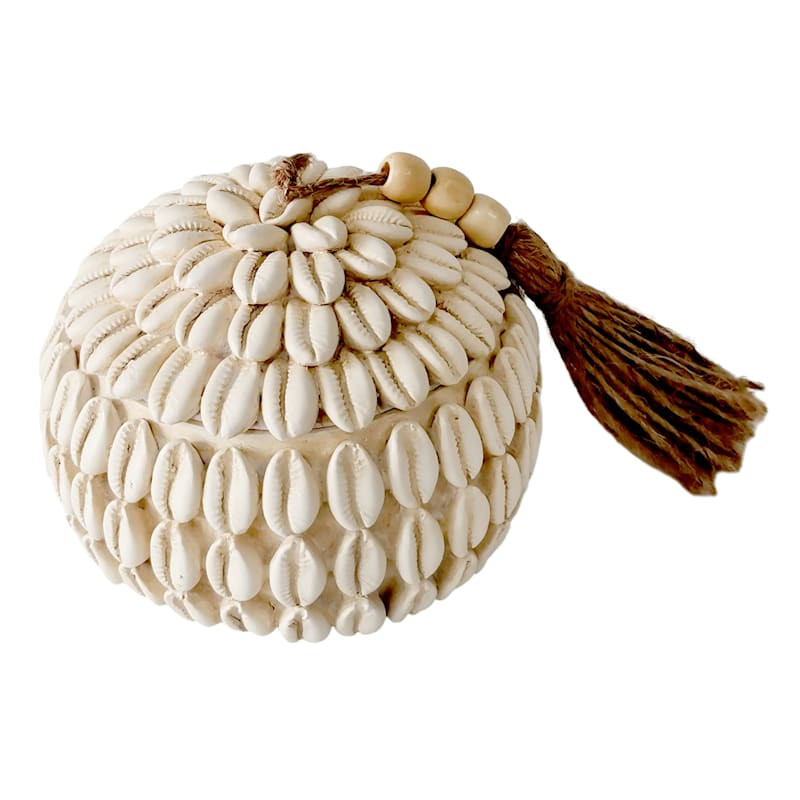 Tracey Boyd Cowrie Shell Placeholder Box, 3.5" | At Home
