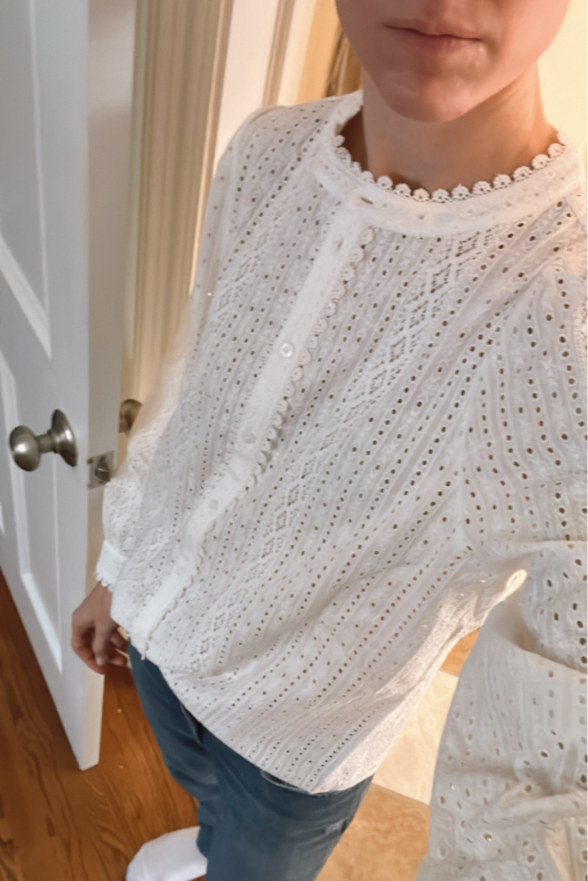 Lace blouse, eyelet blouse 

#LTKSeasonal #LTKstyletip
