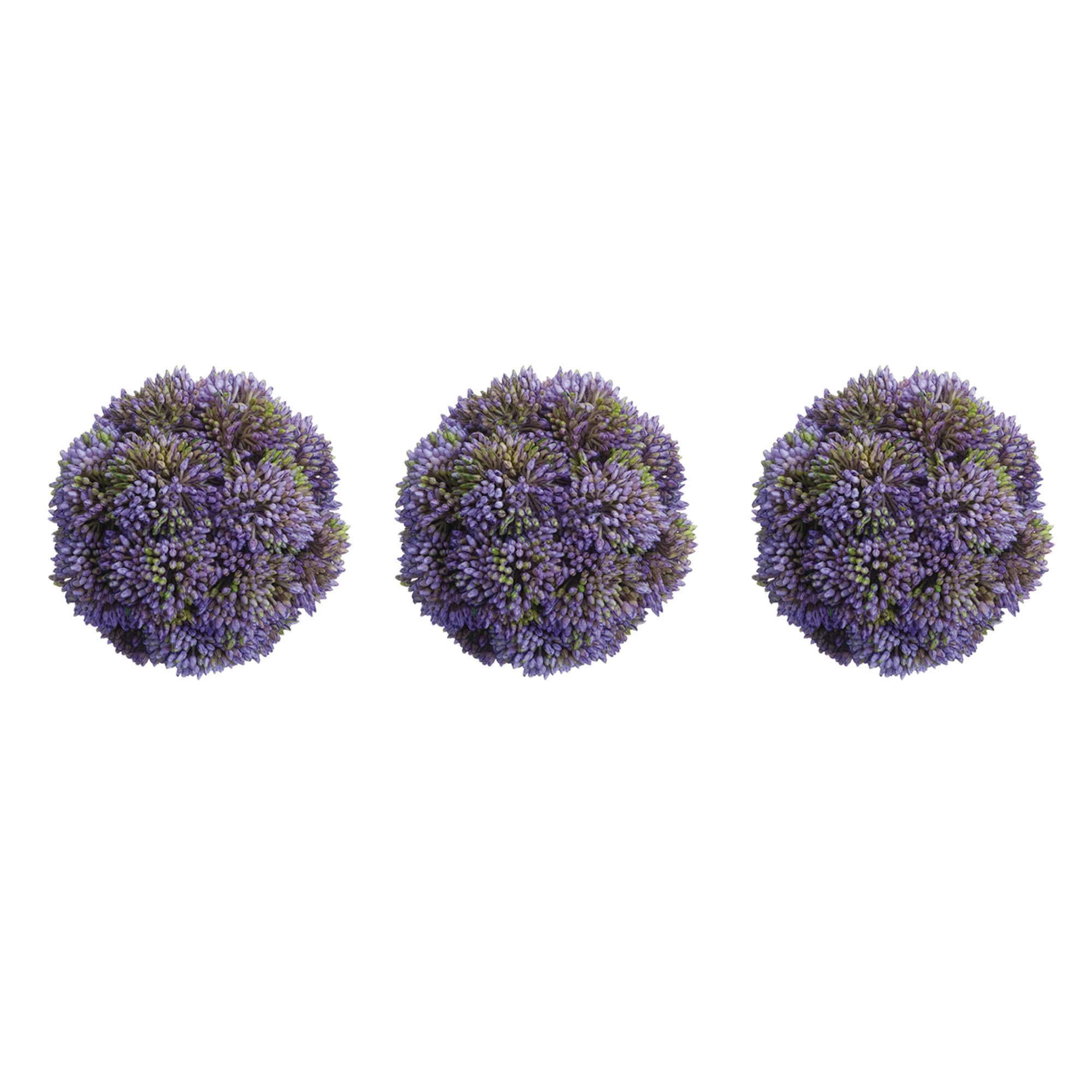 Decorative Sedum Balls (Set of 3) | Wayfair North America