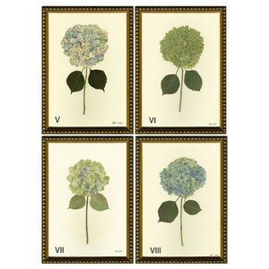 Set of Four Pressed Hydrangea Giclées V – VIII | Etsy (US)