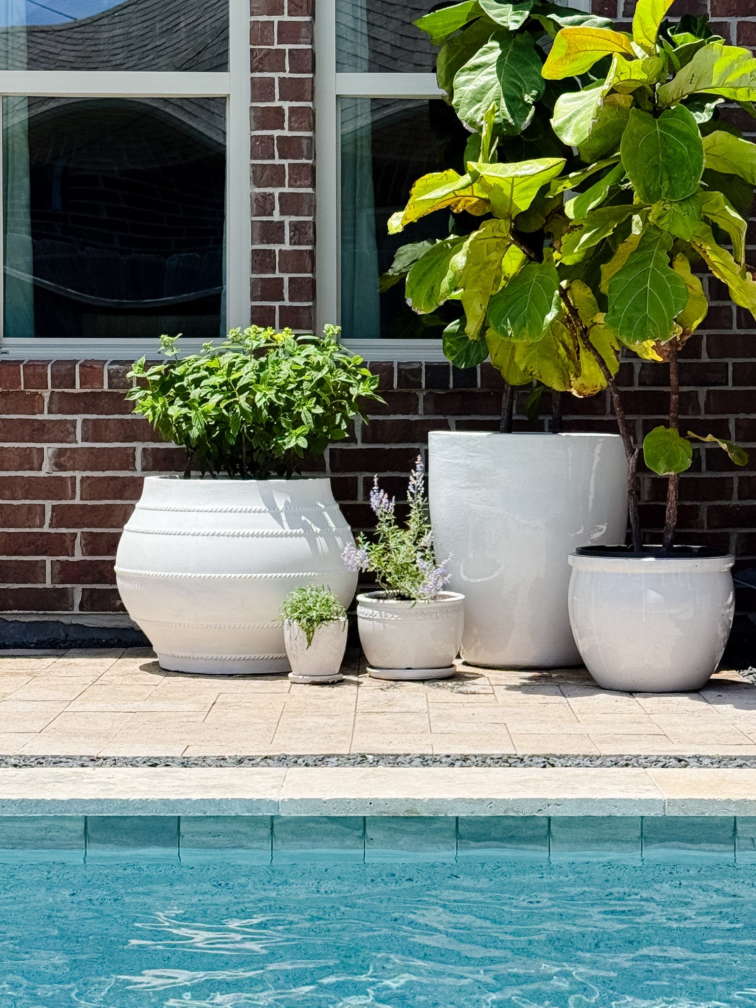 Large white outdoor pots 

I painted the large white pot on the left with white chalk paint and protected it with wax.

Linking to the two largest ones I recently purchased, plus more great finds I saw that day.  Smaller pots are from a local nursery.



#LTKHome