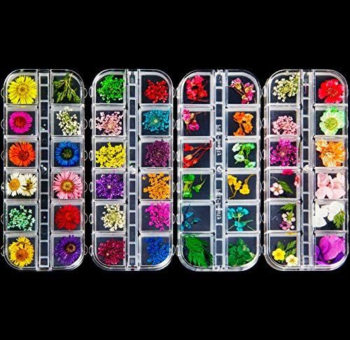 ANPHSIN 4 Boxes Nail Dried Flowers- 48 Colors Mini Natural Real Dry Flowers 3D Applique Nail Art ... | Amazon (US)