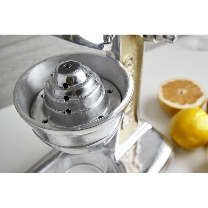 Verve Culture Countertop Citrus Juicer | Wayfair North America