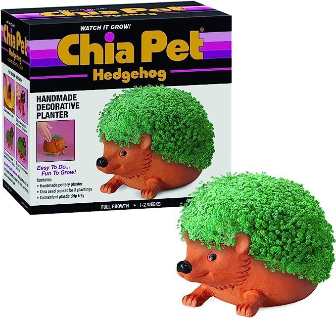 Chia CP438-01 Pet Hedgehog Decorative Pottery Planter, Easy to Do and Fun to Grow | Amazon (US)