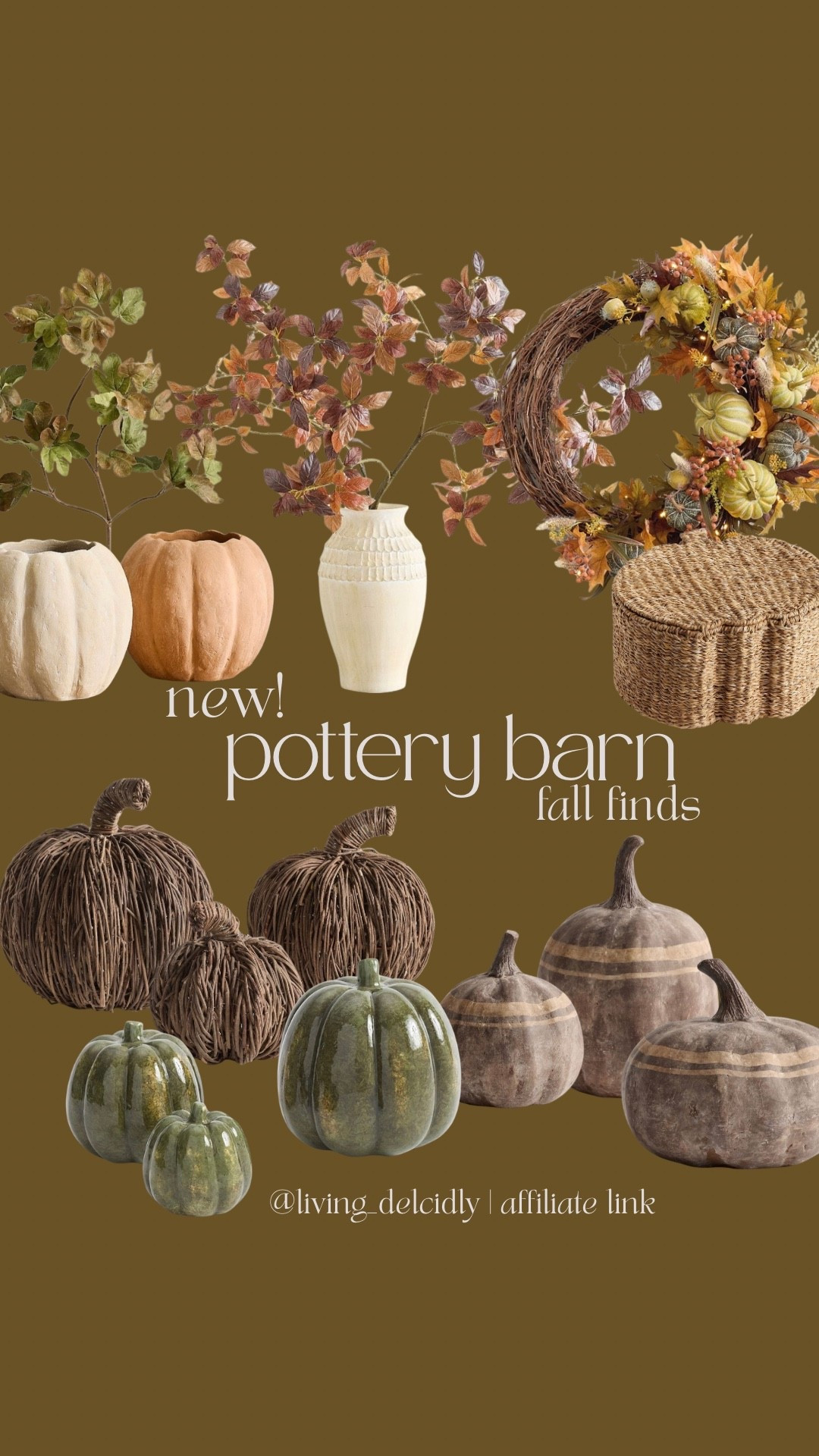 New fall arrivals from PB! The pumpkin selection is sooo good! 🤌🏽

Fall decor, fall wreath, fall florals, fall stems, pumpkin decor, neutral fall

#LTKHome #LTKSeasonal
