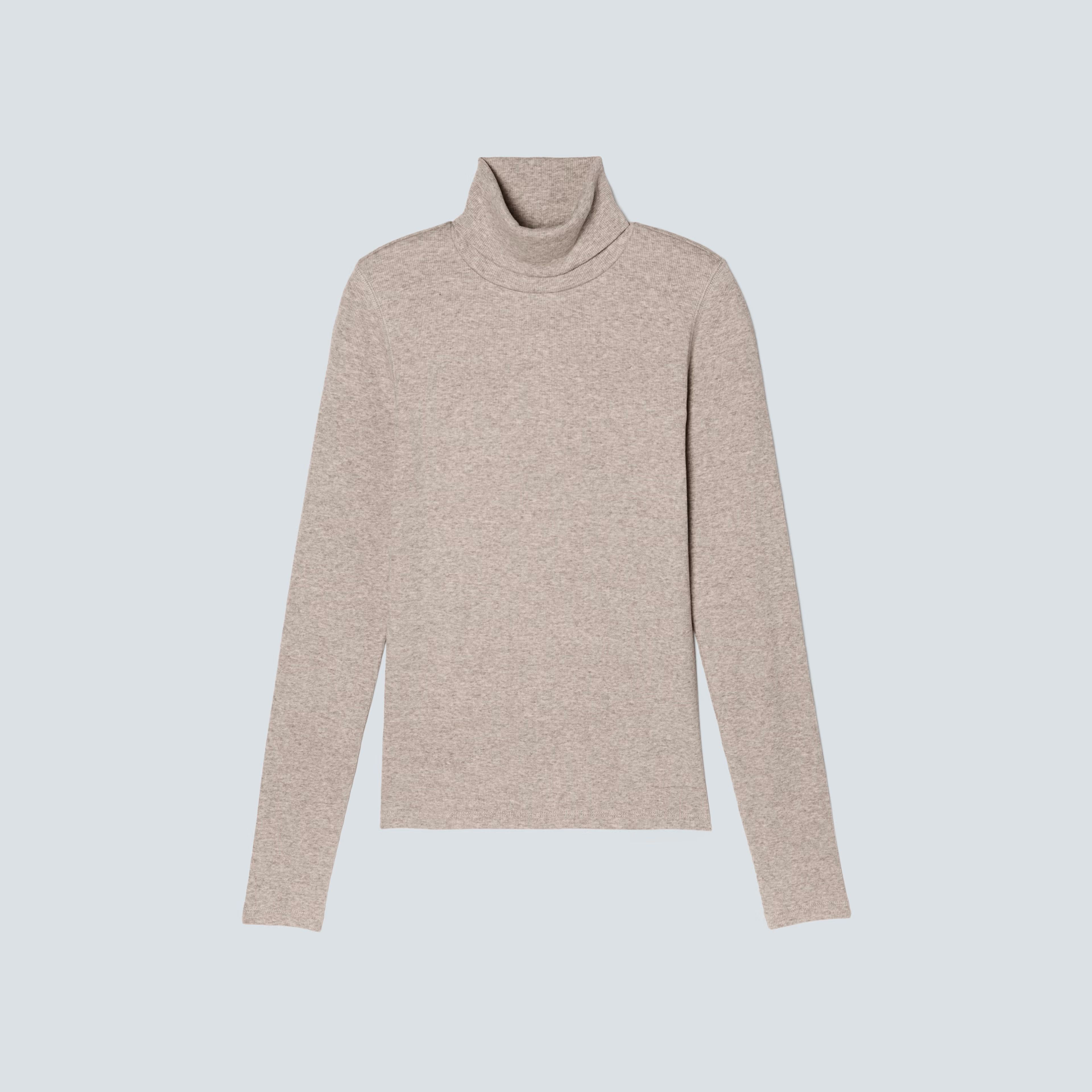 The Pima Micro-Rib Turtleneck | Everlane