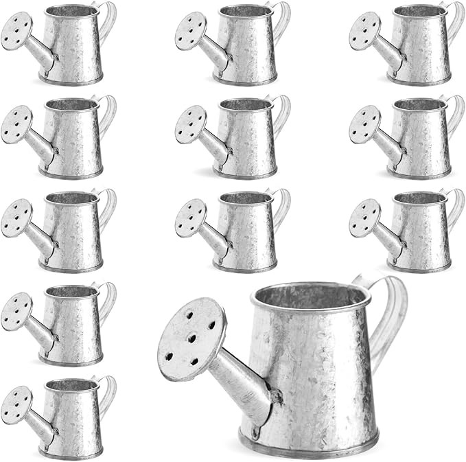 Juvale 12-Pack Mini Galvanized Watering Can - Decorative Mini Watering Can for Crafts, Party Favo... | Amazon (US)
