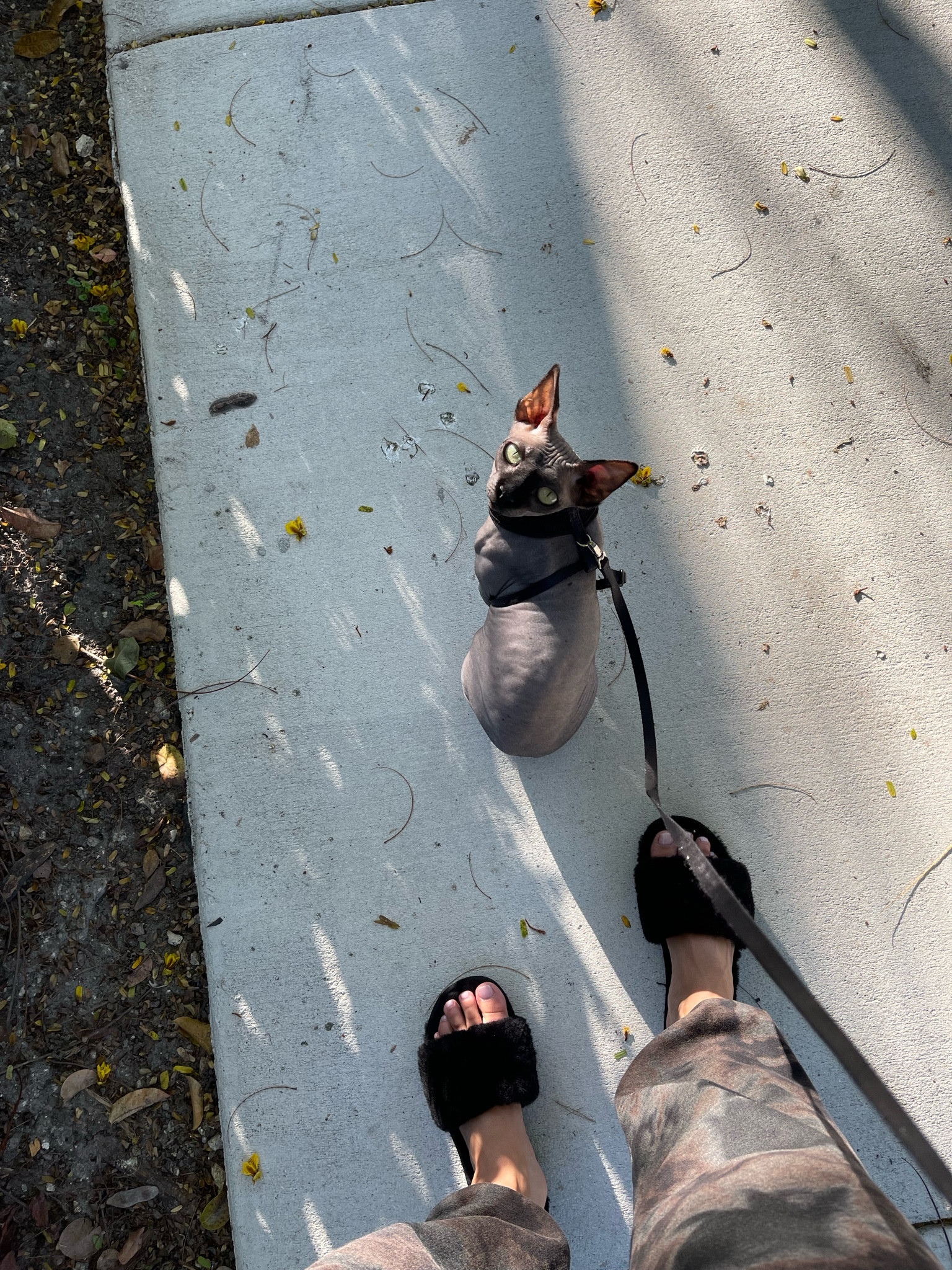 My favorite indoor/outdoor Ugg slippers! 

#LTKstyletip #LTKhome #LTKunder100