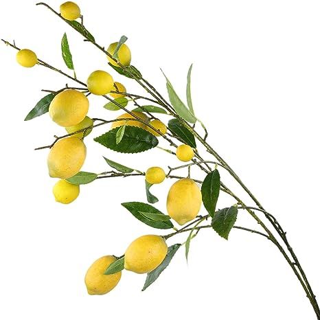 Rinlong Artificial Lemon Branches for Kitchen Party Decoration Yellow Fake Lemon Decor Farmhouse ... | Amazon (US)