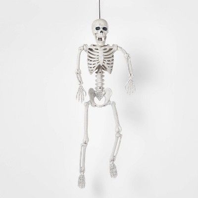 24" Posable Skeleton Halloween Decorative Mannequin - Hyde & EEK! Boutique™ | Target