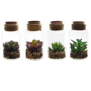 Assorted 5" Succulent in Jar by Ashland® | Michaels Stores
