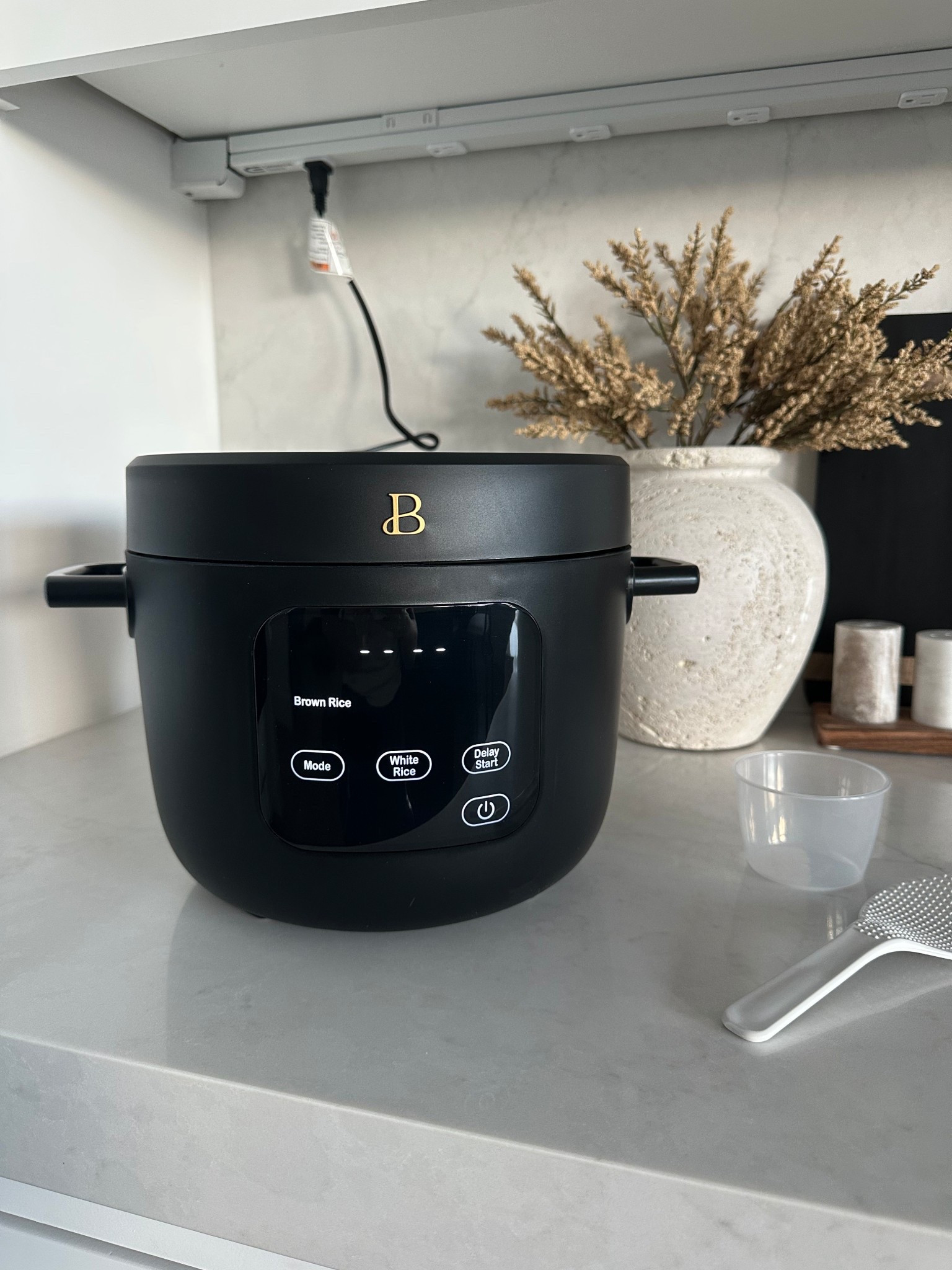 Aesthetic kitchen ware,rice cooker, walmart find, black and gold rice cooker, beautiful brand

#LTKSeasonal #LTKGiftGuide #LTKHoliday