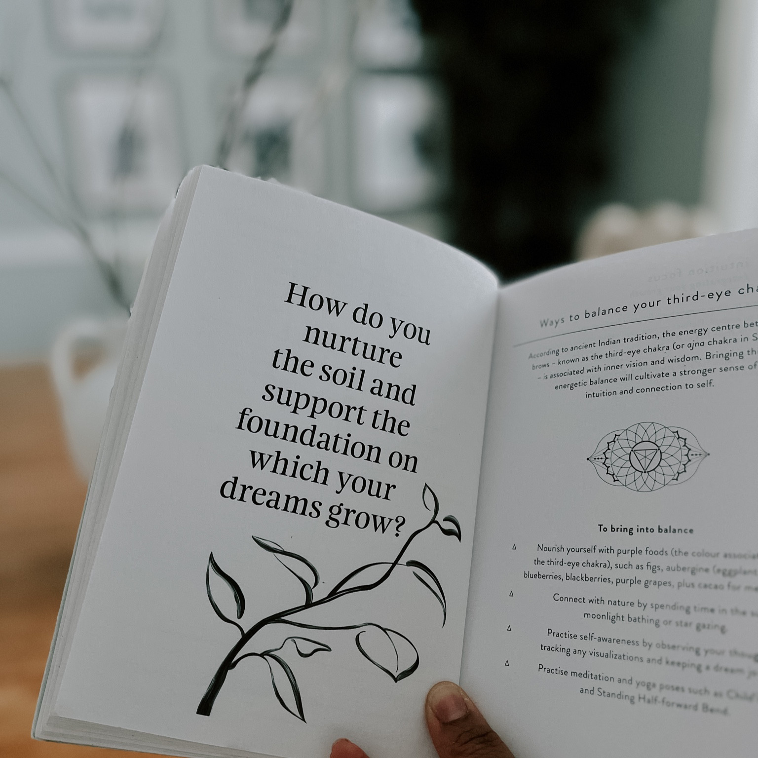 Focusing on reflective intuition work this week to deepen my connection to myself and my dreams. This intuition journal is the perfect aid in becoming more intuitive and grounded. 

#2024books #bookguide #newyearsreading

#LTKsalealert #LTKGiftGuide #LTKfindsunder50